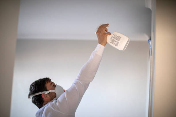 Certified Mold Removal in Athens, PA