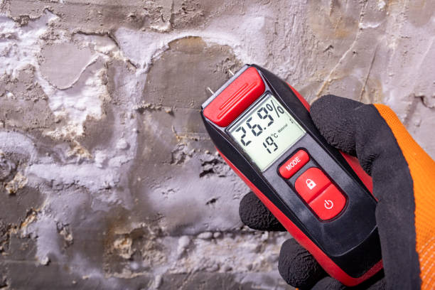 Home Mold Removal in Athens, PA
