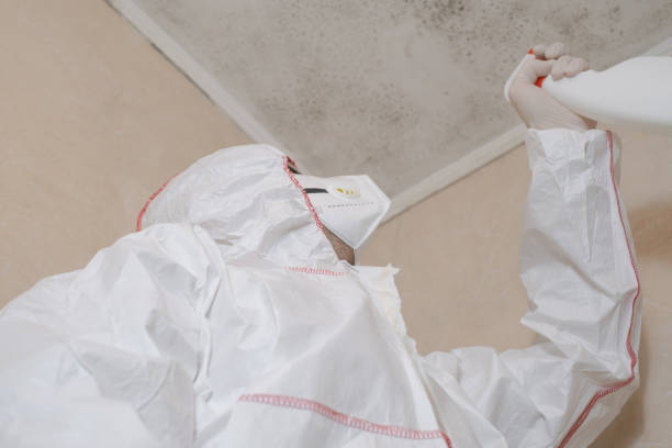 Best Office Mold Removal Services  in Athens, PA